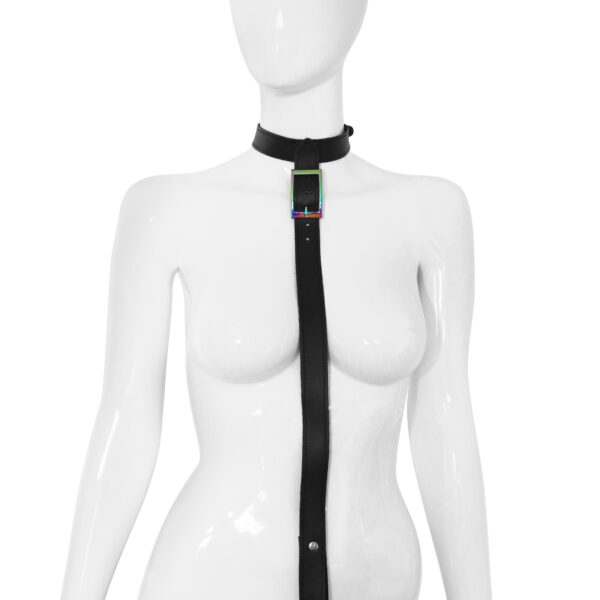 Obroża ze smyczą Rainbow