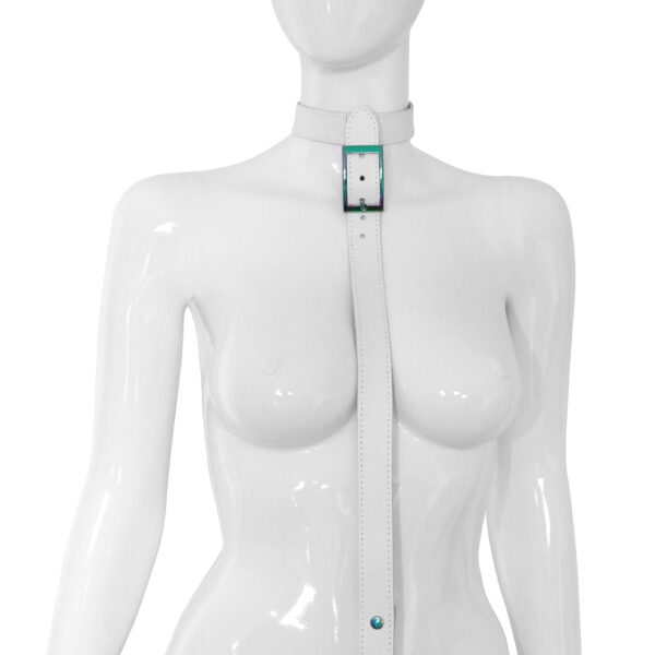 Obroża ze smyczą Rainbow